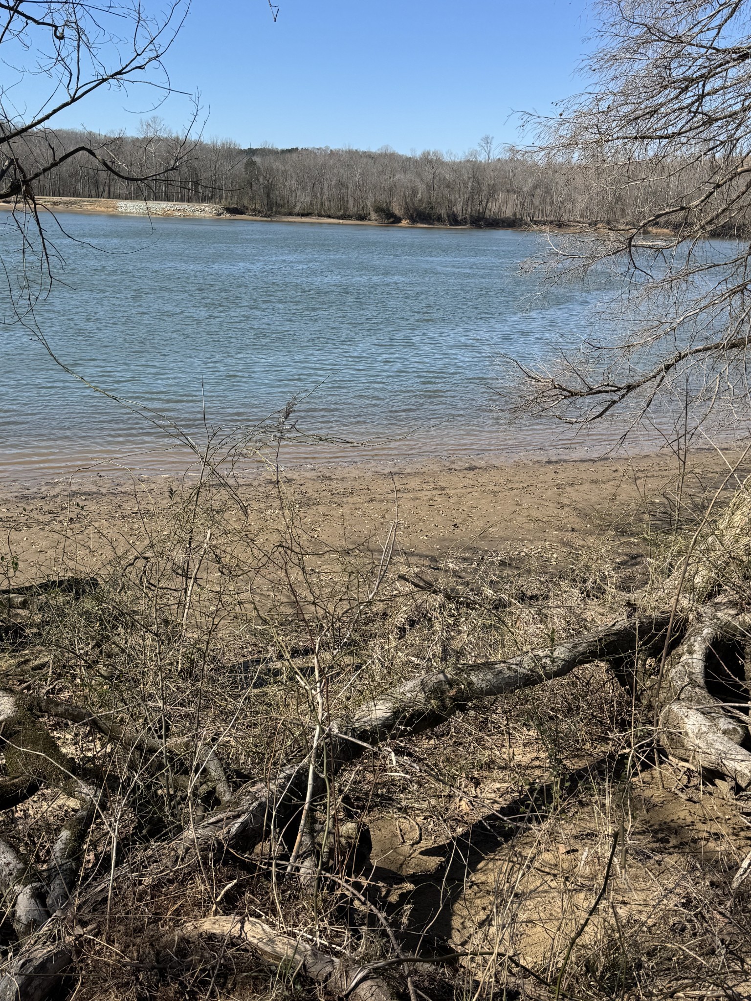 437 Hardin Btm Road Clifton, TN 38425 - Photo 22 of 35