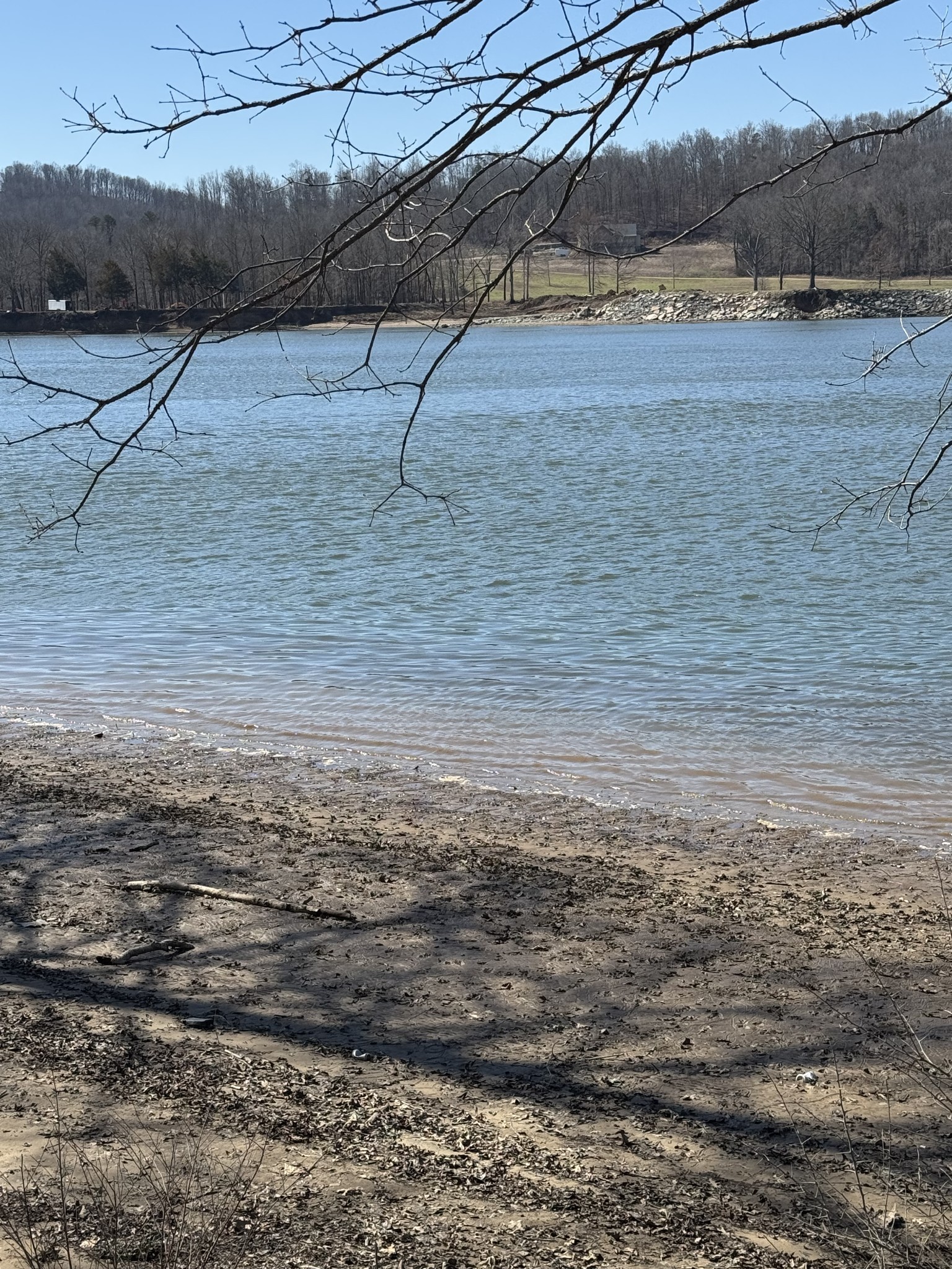 437 Hardin Btm Road Clifton, TN 38425 - Photo 23 of 35