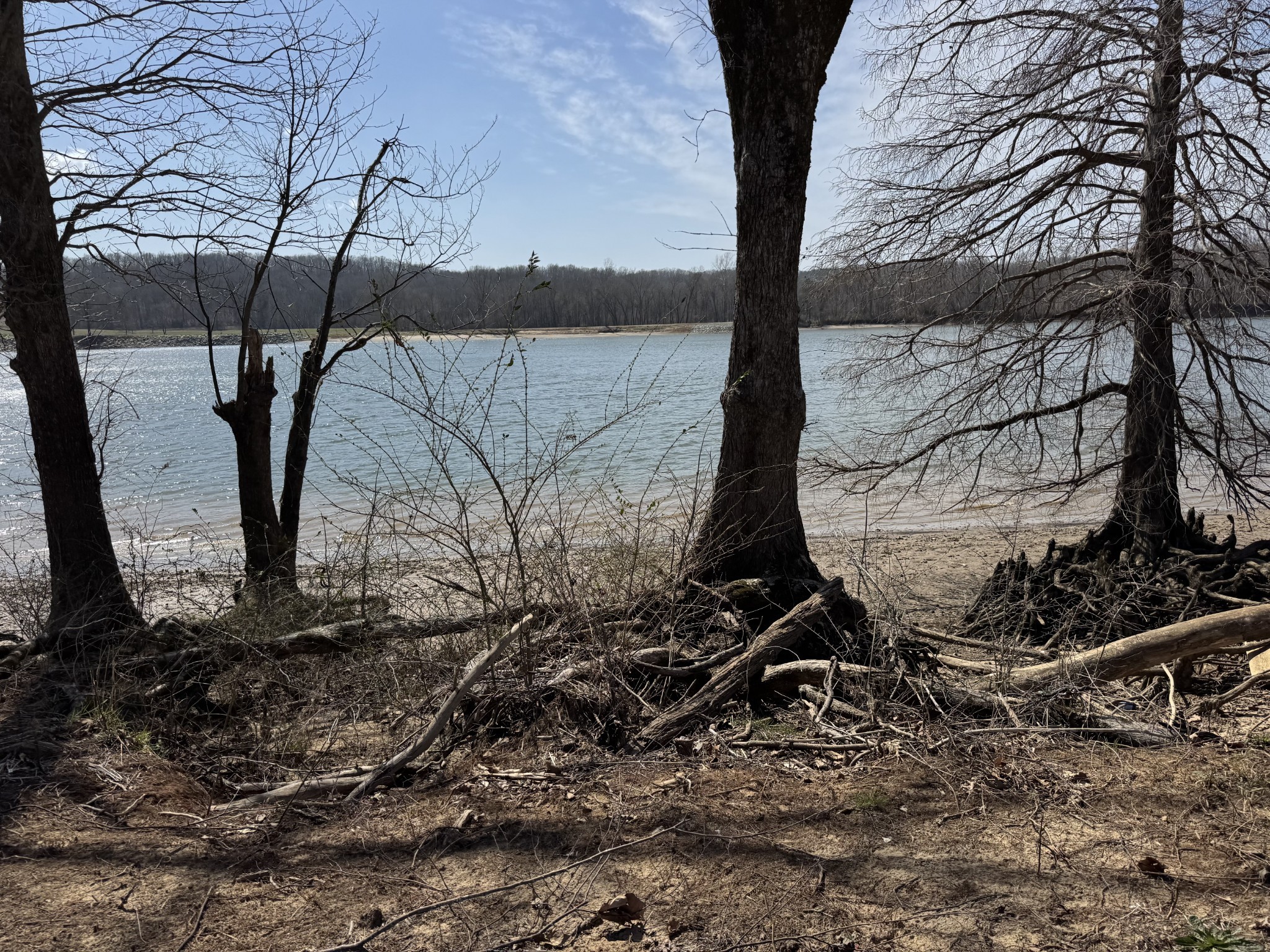 437 Hardin Btm Road Clifton, TN 38425 - Photo 32 of 35