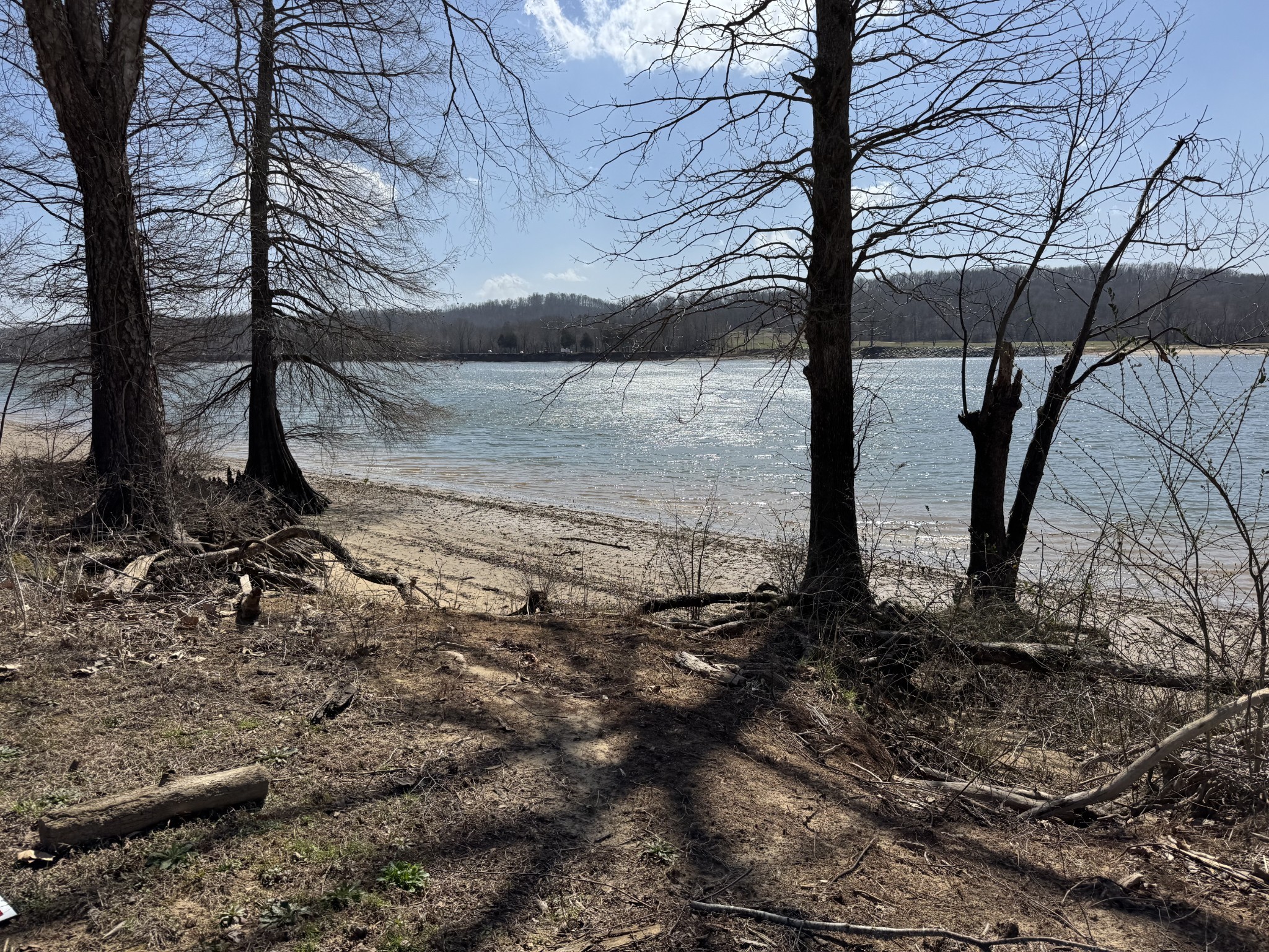 437 Hardin Btm Road Clifton, TN 38425 - Photo 33 of 35