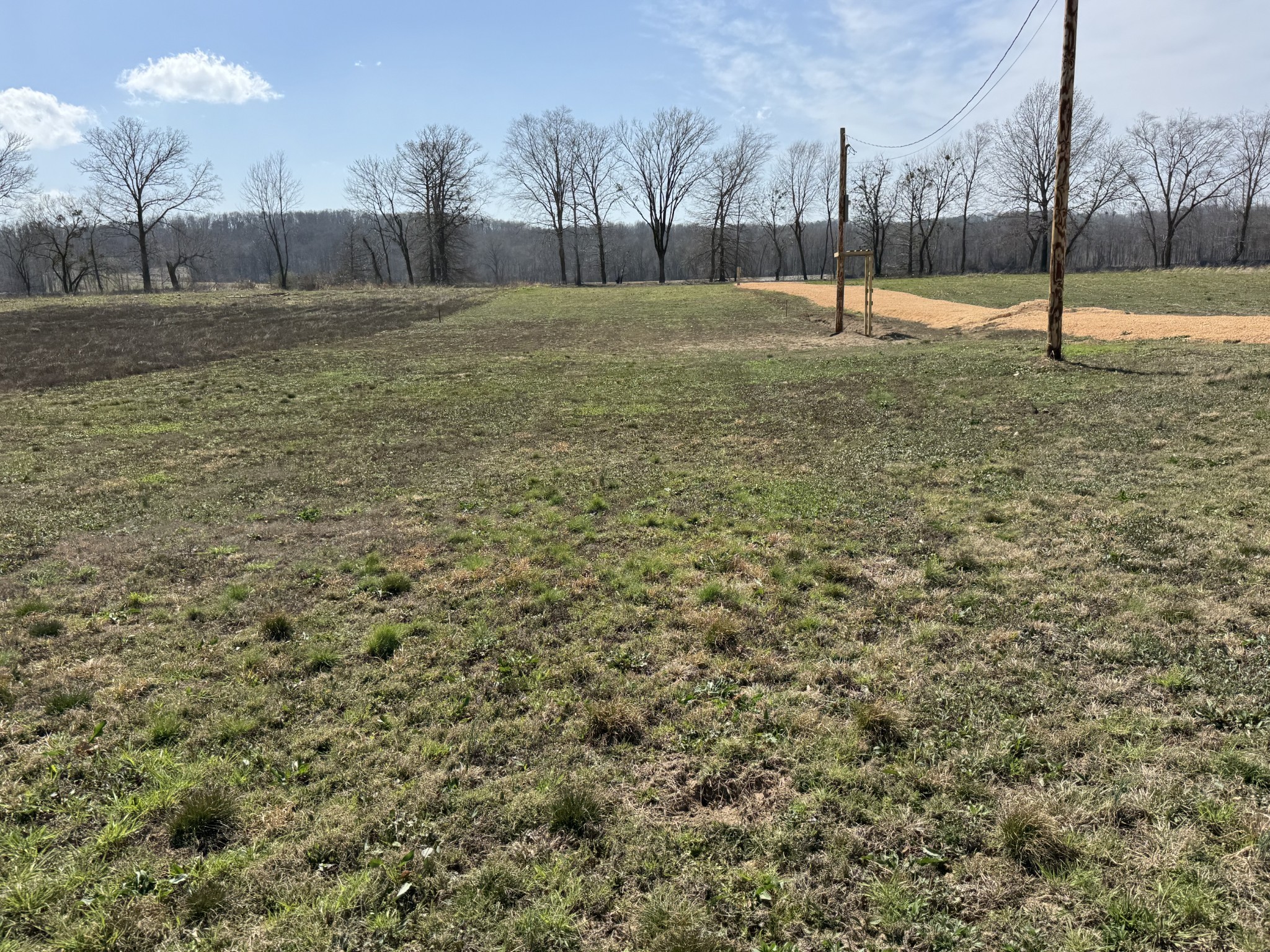 437 Hardin Btm Road Clifton, TN 38425 - Photo 4 of 35