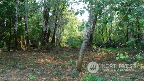 1420 Raymond South Bend Road Raymond, WA 98577 - Photo 1 of 2 a big yard with lots of green space and deers