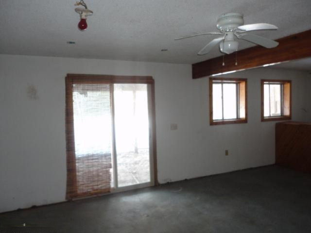 11355 West County Line Road Blanchard, MI 49310 - Photo 17 of 21 Additional Photo