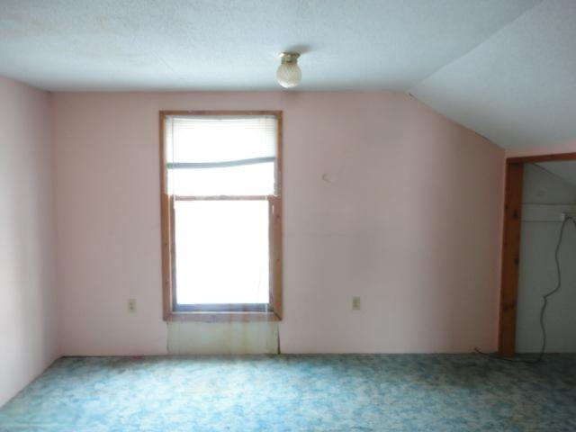 11355 West County Line Road Blanchard, MI 49310 - Photo 18 of 21 Additional Photo