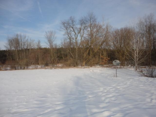 11355 West County Line Road Blanchard, MI 49310 - Photo 3 of 21 Additional Photo