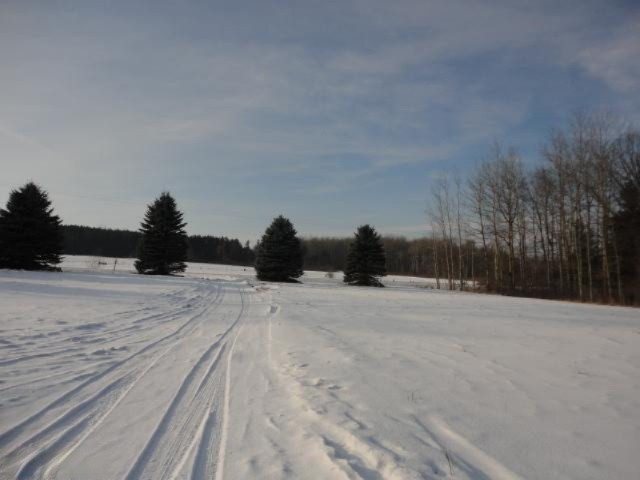 11355 West County Line Road Blanchard, MI 49310 - Photo 4 of 21 Additional Photo
