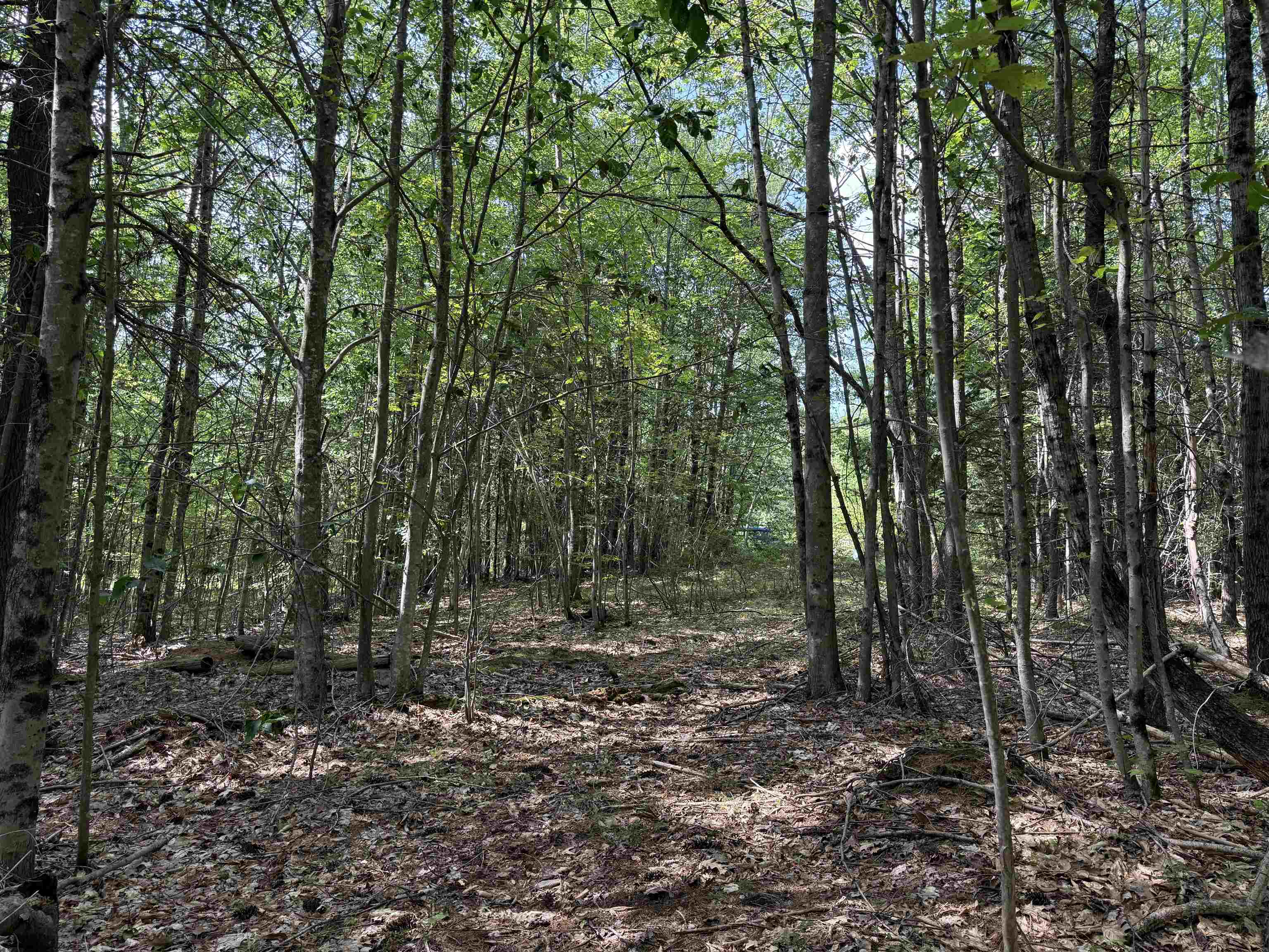 0 Parkey Road Barnstead, NH 03218 - Photo 8 of 11 Gallery Image 8