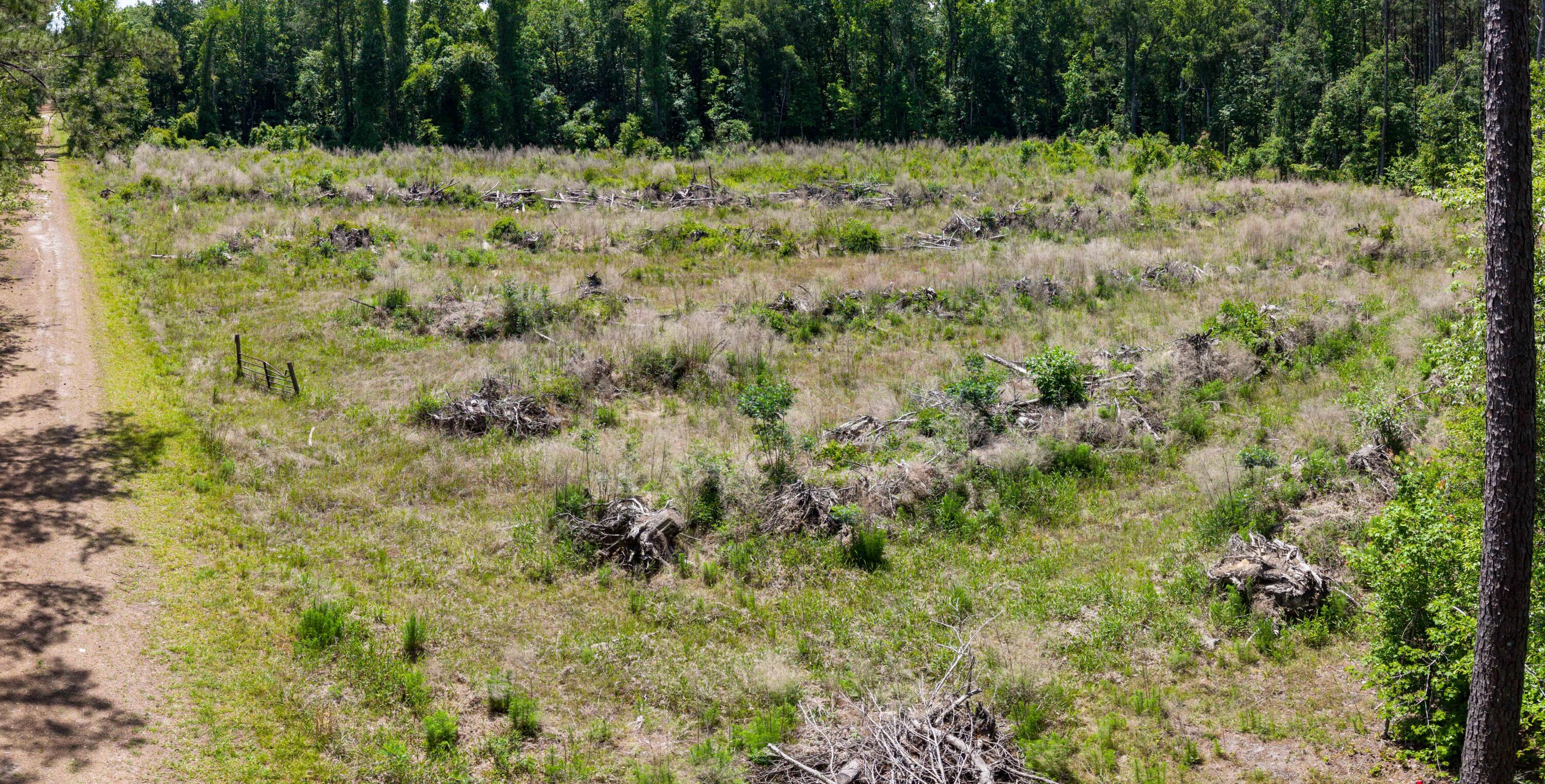 337 Weathers Farm Road Bowman, SC 29018 - Photo 67 of 79 WF 9