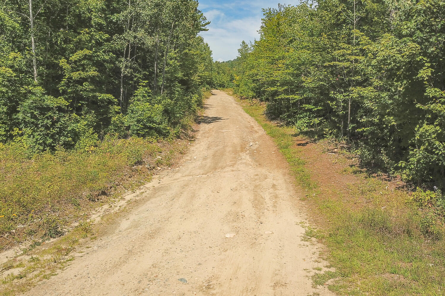 Tbd Daisy Bryant Road Bethel, ME 04217 - Photo 8 of 28 Locke Mtn Rd Bethel 07-(ZF-9778-14346-1-