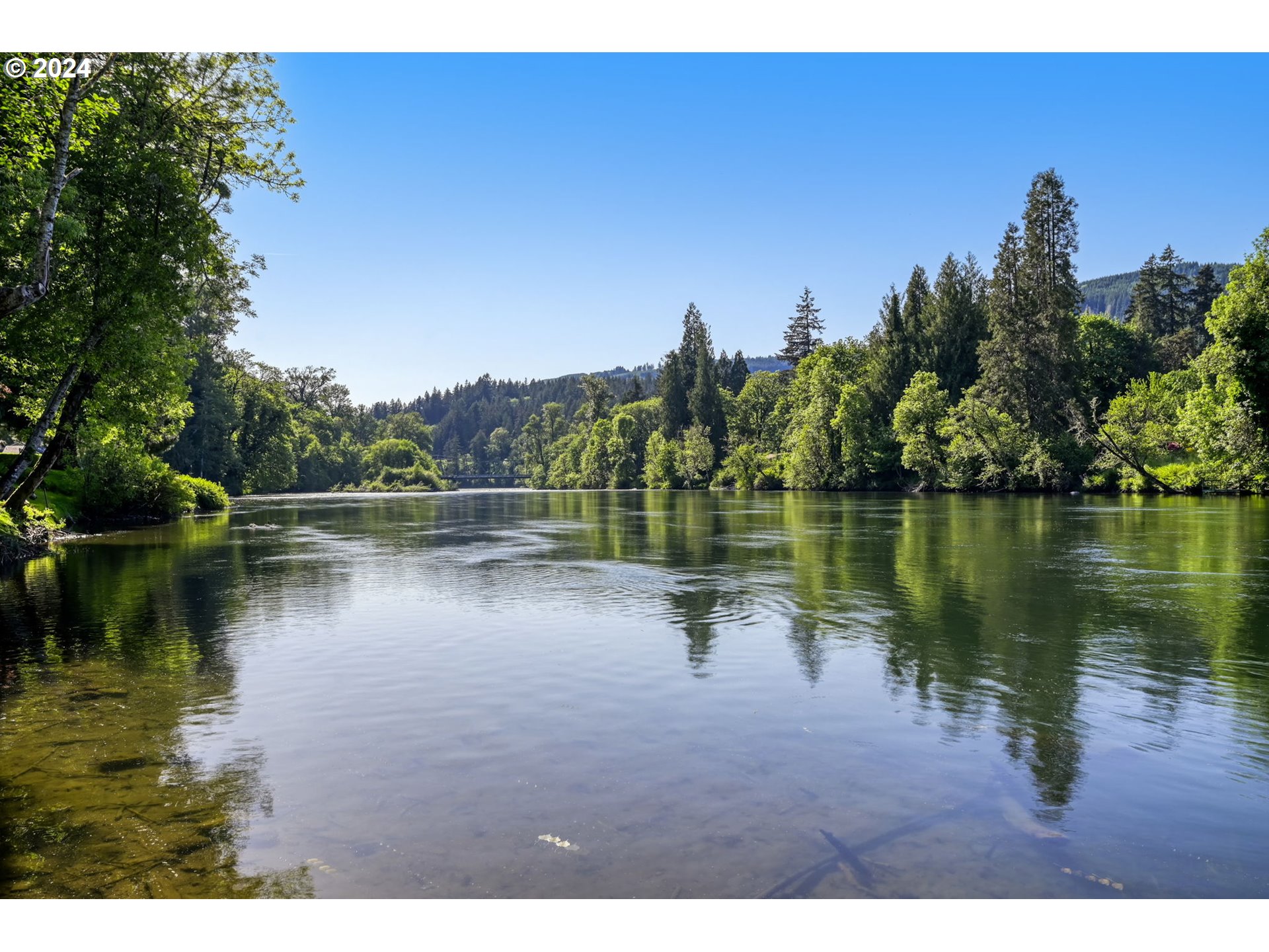 42011 Deerhorn Road Springfield, OR 97478 - Photo 42 of 48 Gallery Image 42