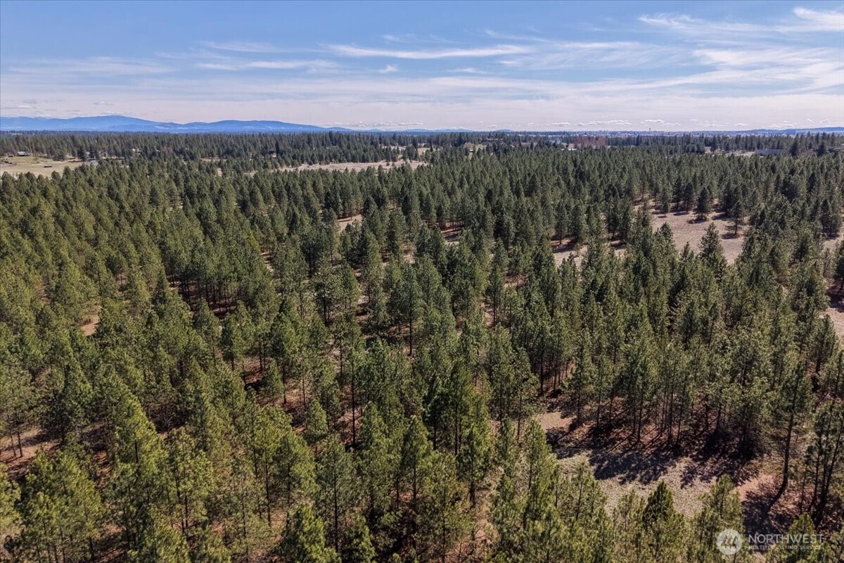7410 South Hayford Road Spokane, WA 99224 - Photo 9 of 20 Gallery Image 9