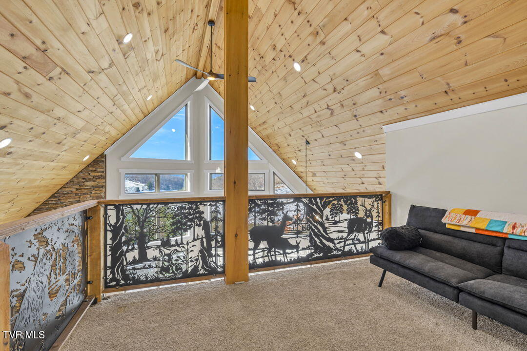 550 Ridgeview Drive Mountain City, TN 37683 - Photo 33 of 45 42-web-or-mls-A7504754