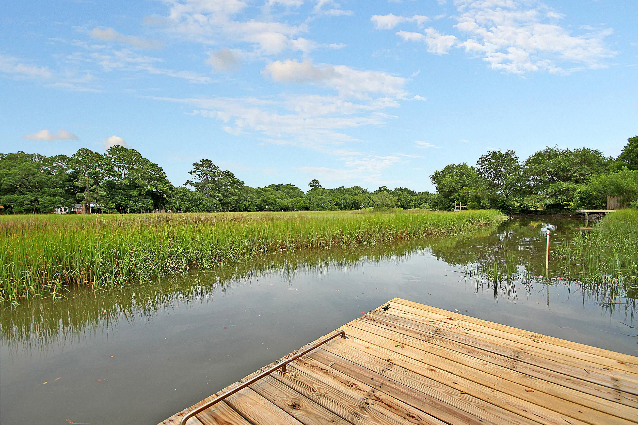1260 Cornwallis Road Charleston, SC 29412 - Photo 26 of 28 IMG_7023 copy