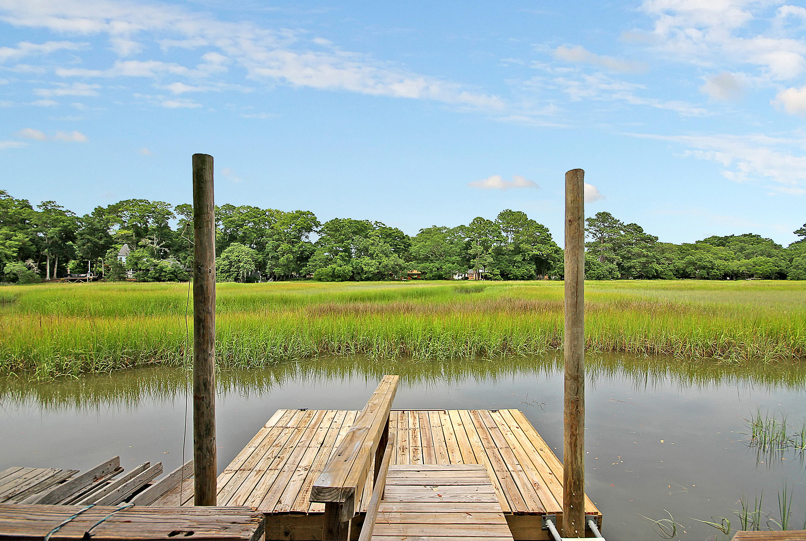 1260 Cornwallis Road Charleston, SC 29412 - Photo 27 of 28 IMG_7016 copy
