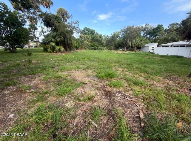 a view of a field with trees in the background