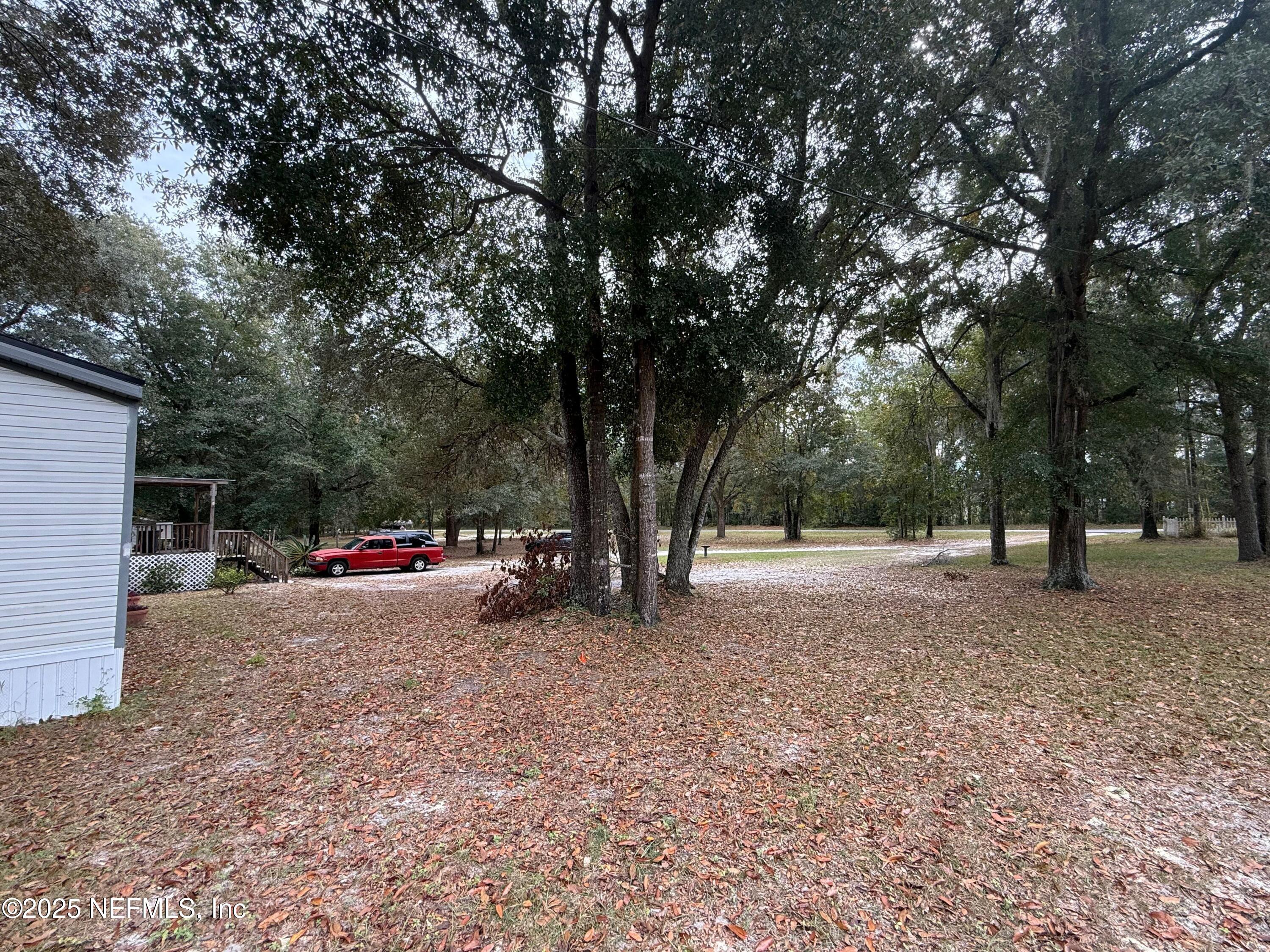 209 Dolphin Circle Middleburg, FL 32068 - Photo 17 of 20 a view of backyard with trees