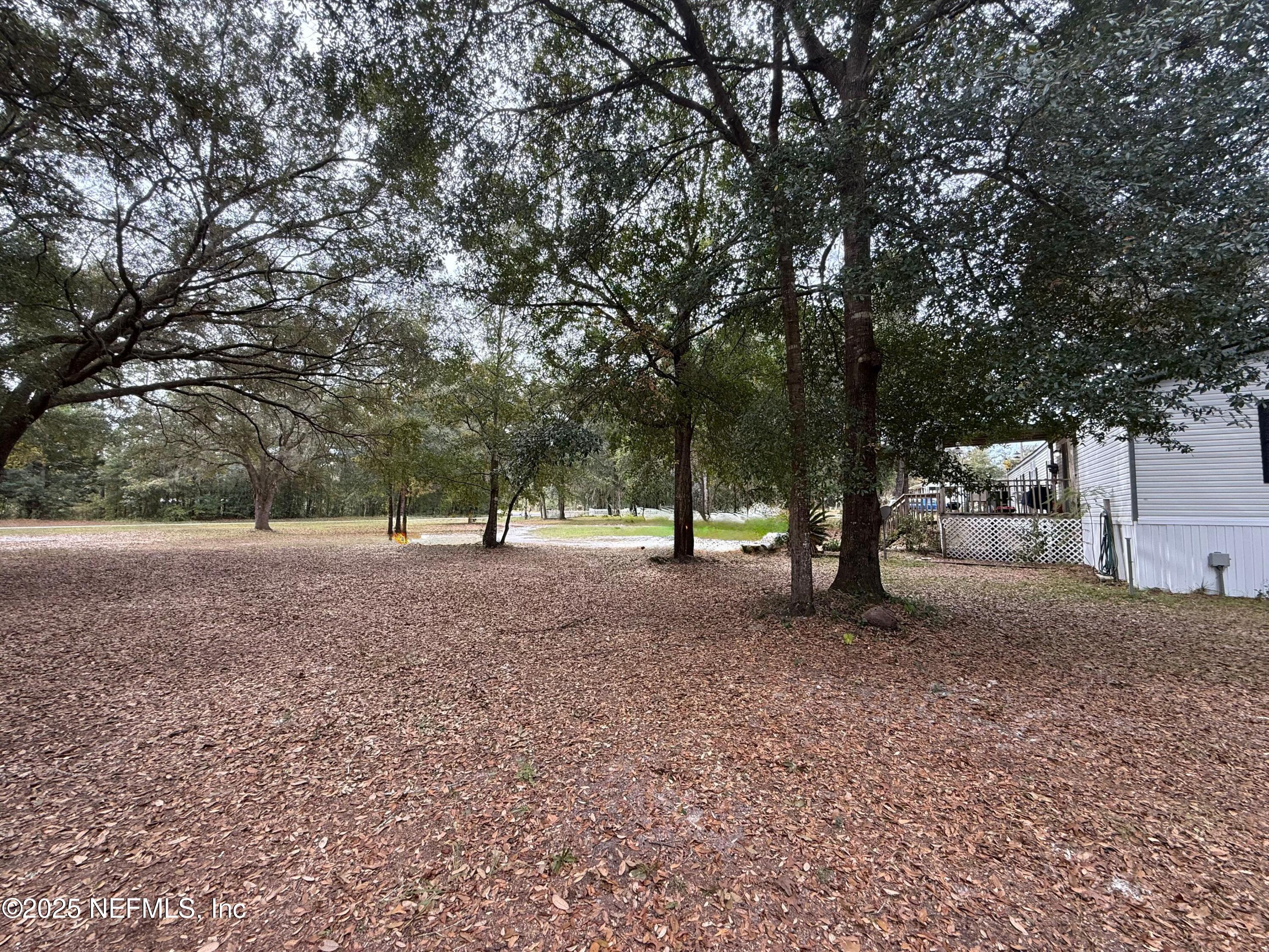209 Dolphin Circle Middleburg, FL 32068 - Photo 19 of 20 a view of a tree in the middle of a yard