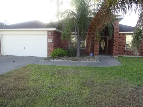 a view of a backyard with a tree