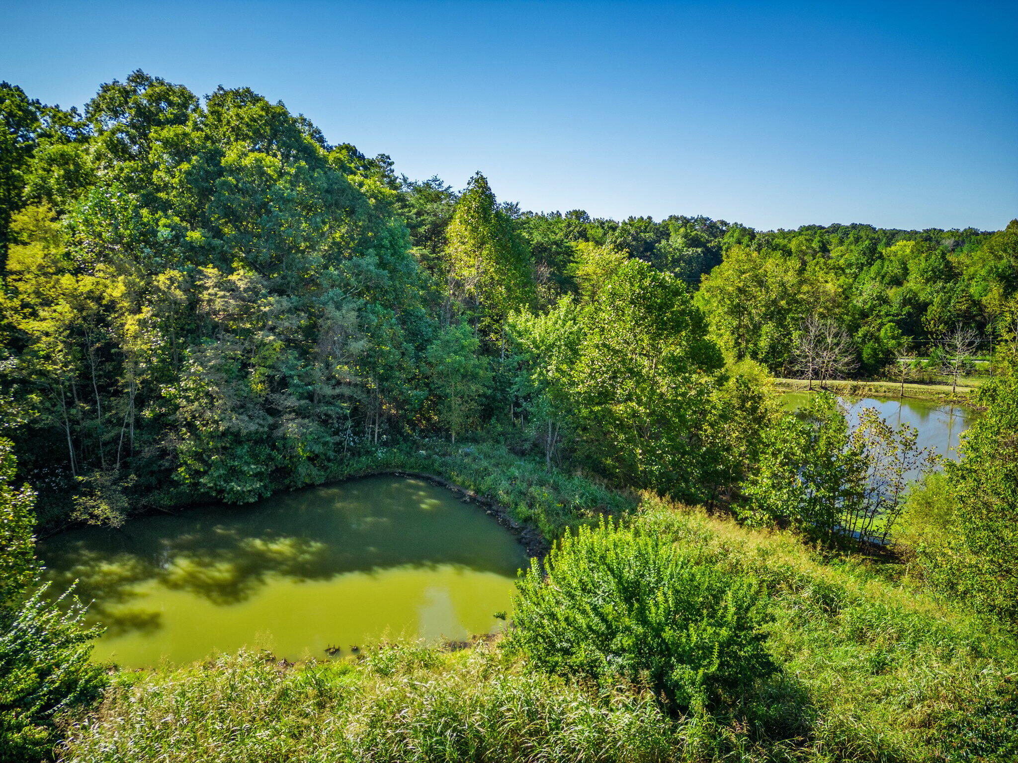 11440 Irvine Road Winchester, KY 40391 - Photo 26 of 33 DJI_0172