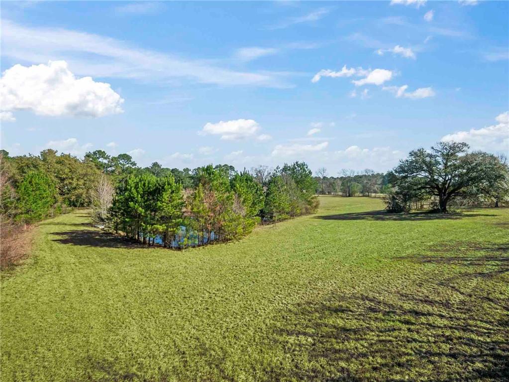 40135 Anderson Road Franklinton, LA 70438 - Photo 22 of 27 Gallery Image 22