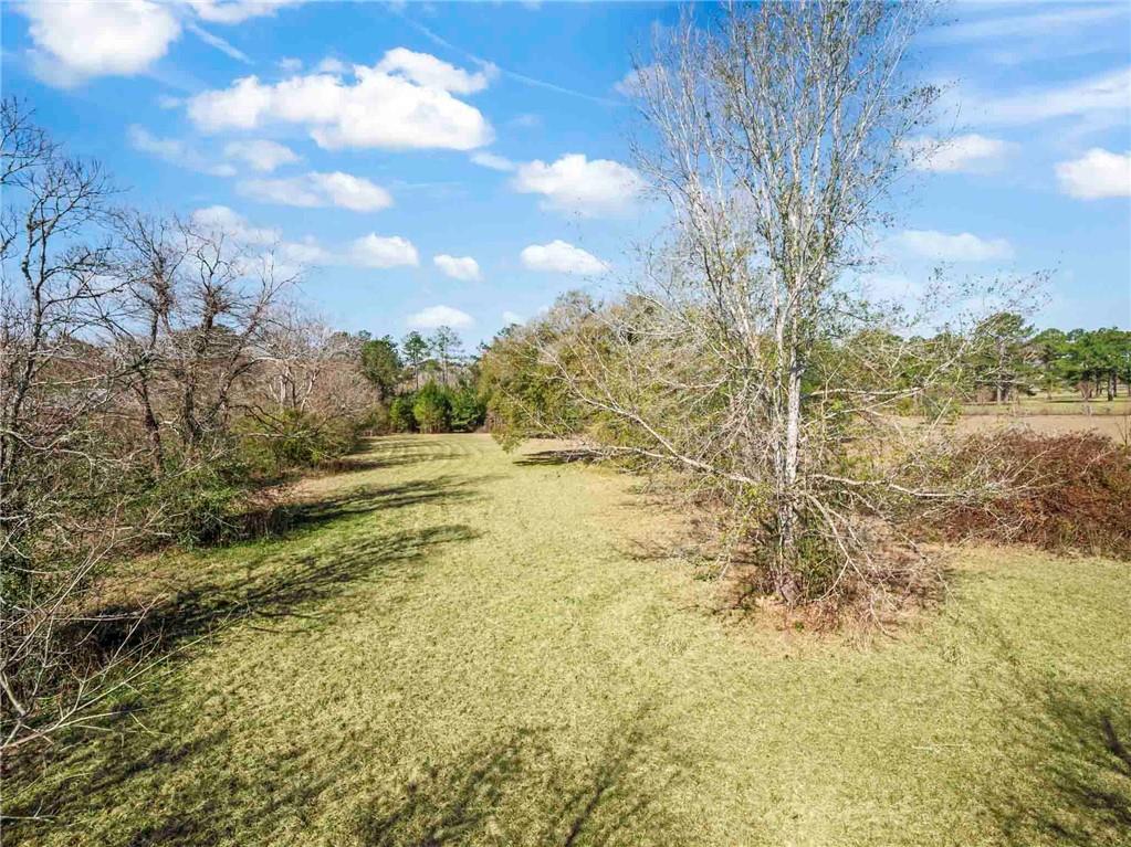 40135 Anderson Road Franklinton, LA 70438 - Photo 23 of 27 Gallery Image 23