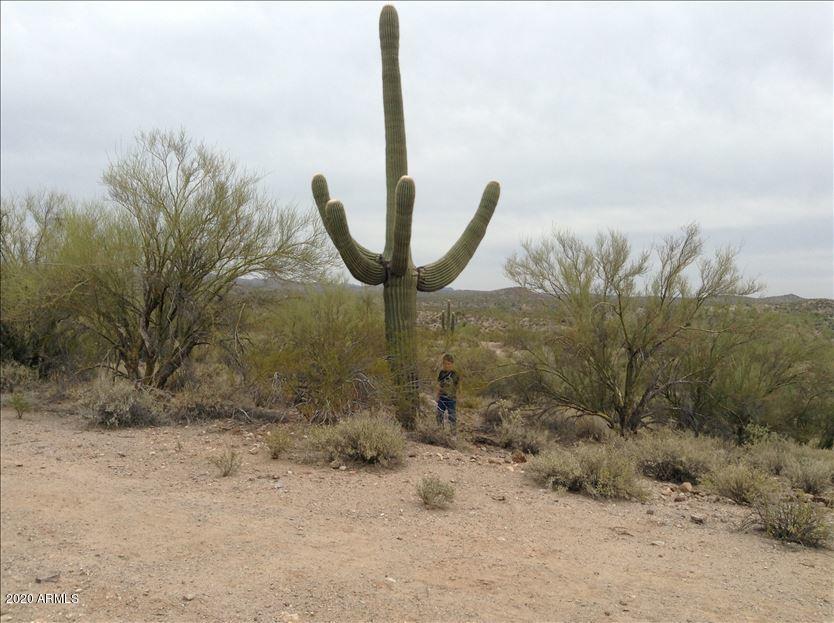435 Stonehedge Ranch Road Wickenburg, AZ 85390 - Photo 21 of 21 vcm_s_kf_repr_834x623