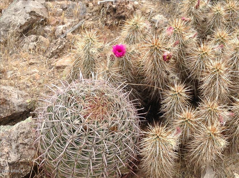 435 Stonehedge Ranch Road Wickenburg, AZ 85390 - Photo 10 of 21 vcm_s_kf_repr_834x623