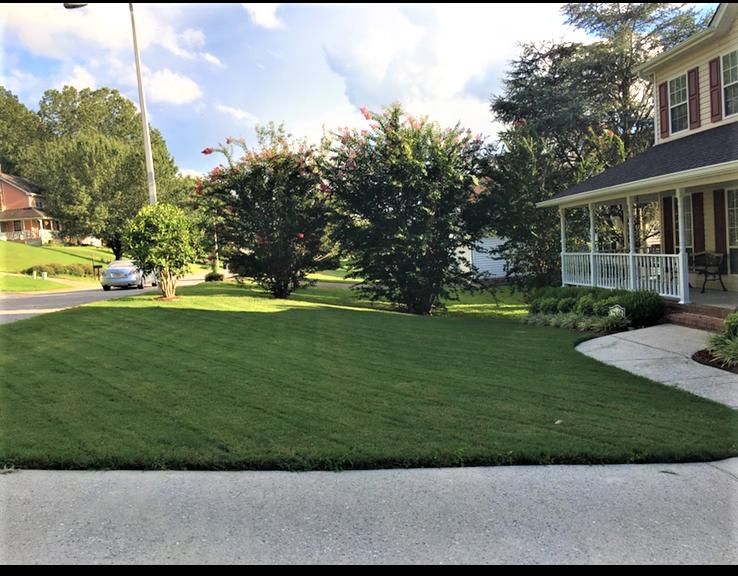 6618 Jordan Run Road Chattanooga, TN 37412 - Photo 24 of 27 Jordan Run front lawn