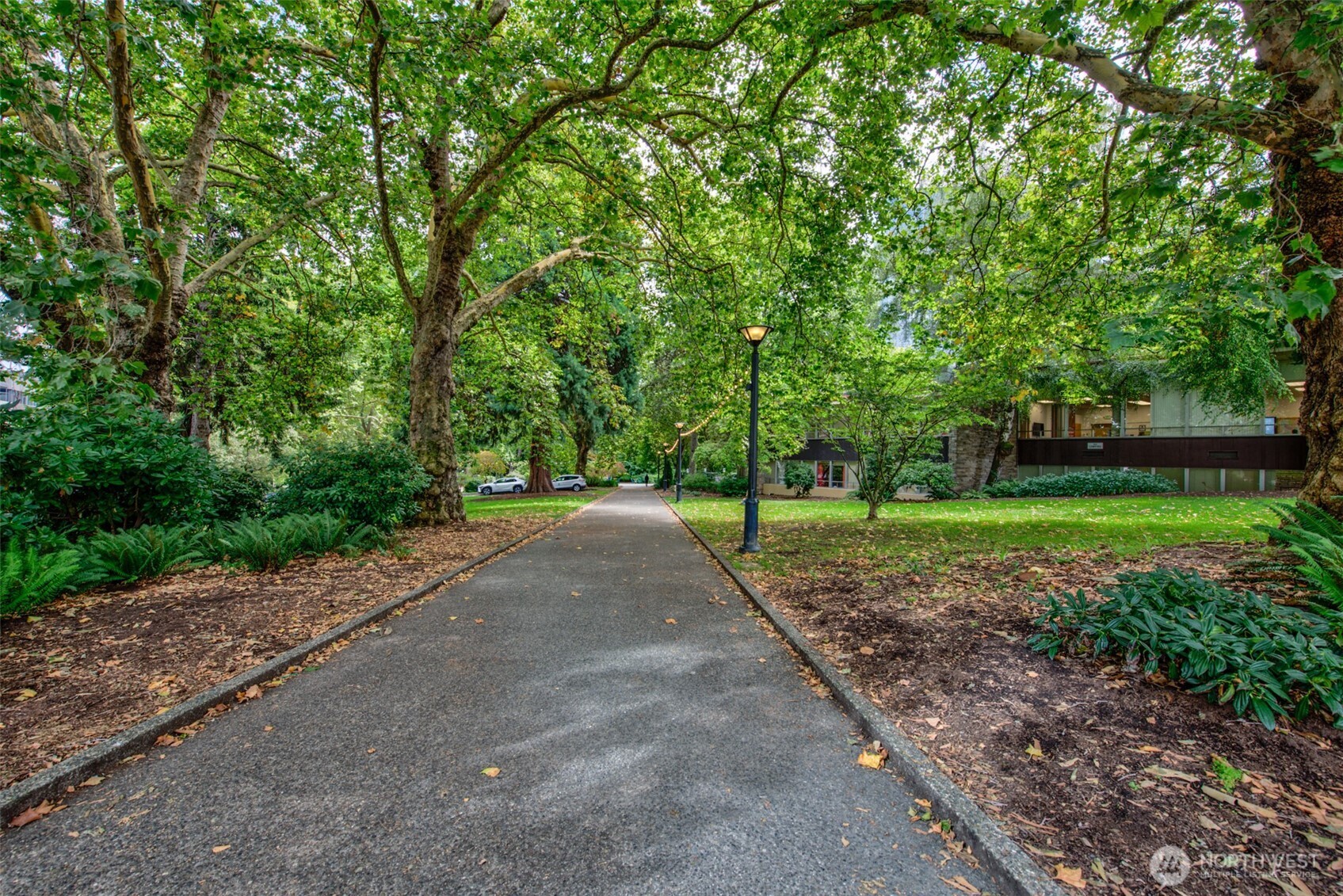 900 Lenora Street, Unit W801 Seattle, WA 98121 - Photo 36 of 36 a view of a park with tree s