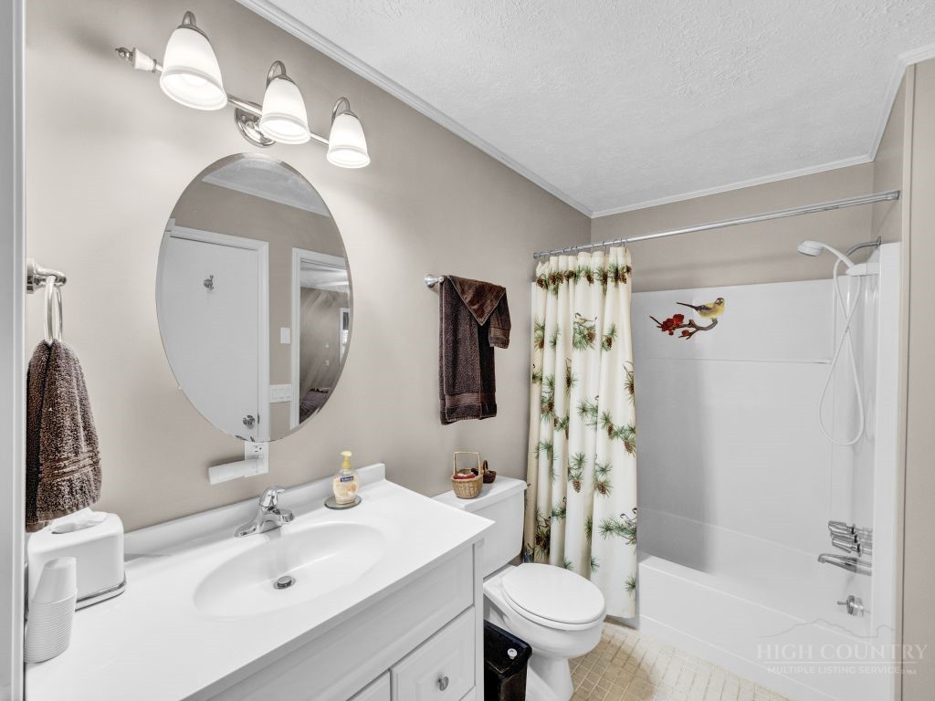 265 Trout Lake Road Deep Gap, NC 28618 - Photo 25 of 50 a bathroom with a sink a toilet and shower
