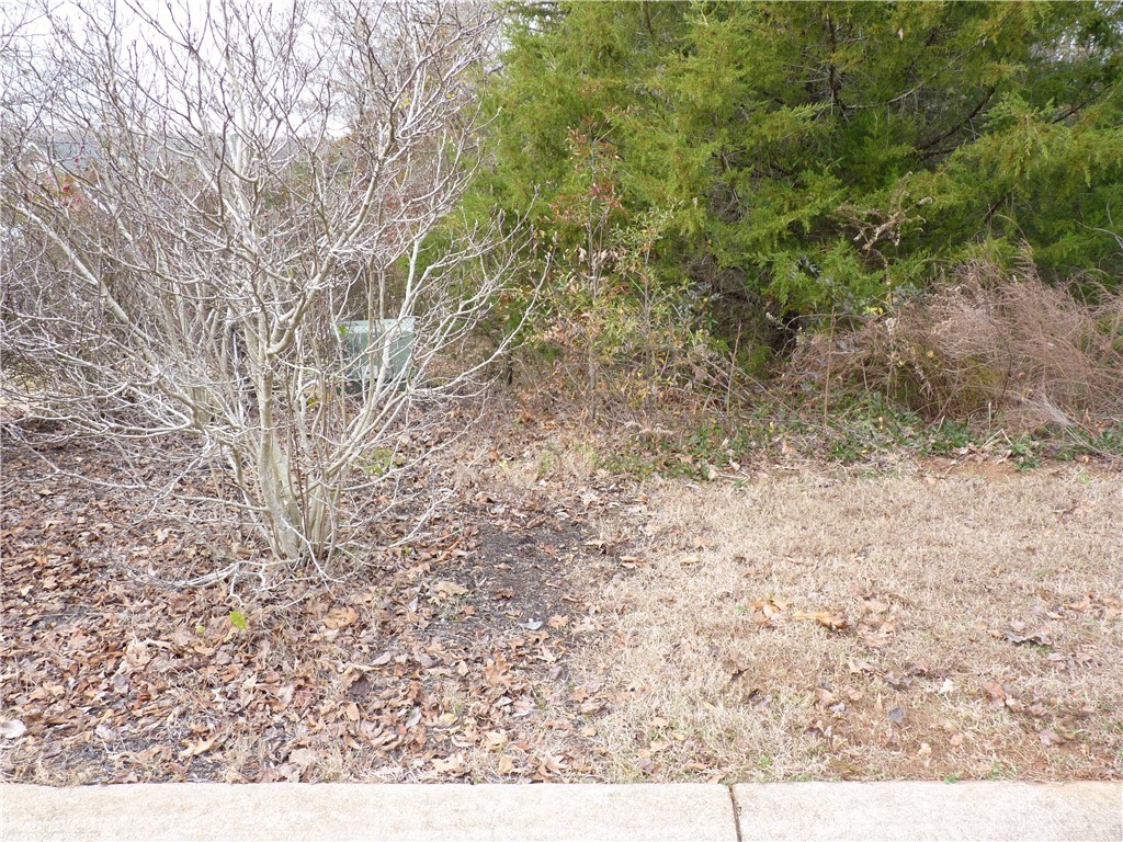 204 Sandy Point Drive Anderson, SC 29625 - Photo 8 of 9 Gallery Image 8