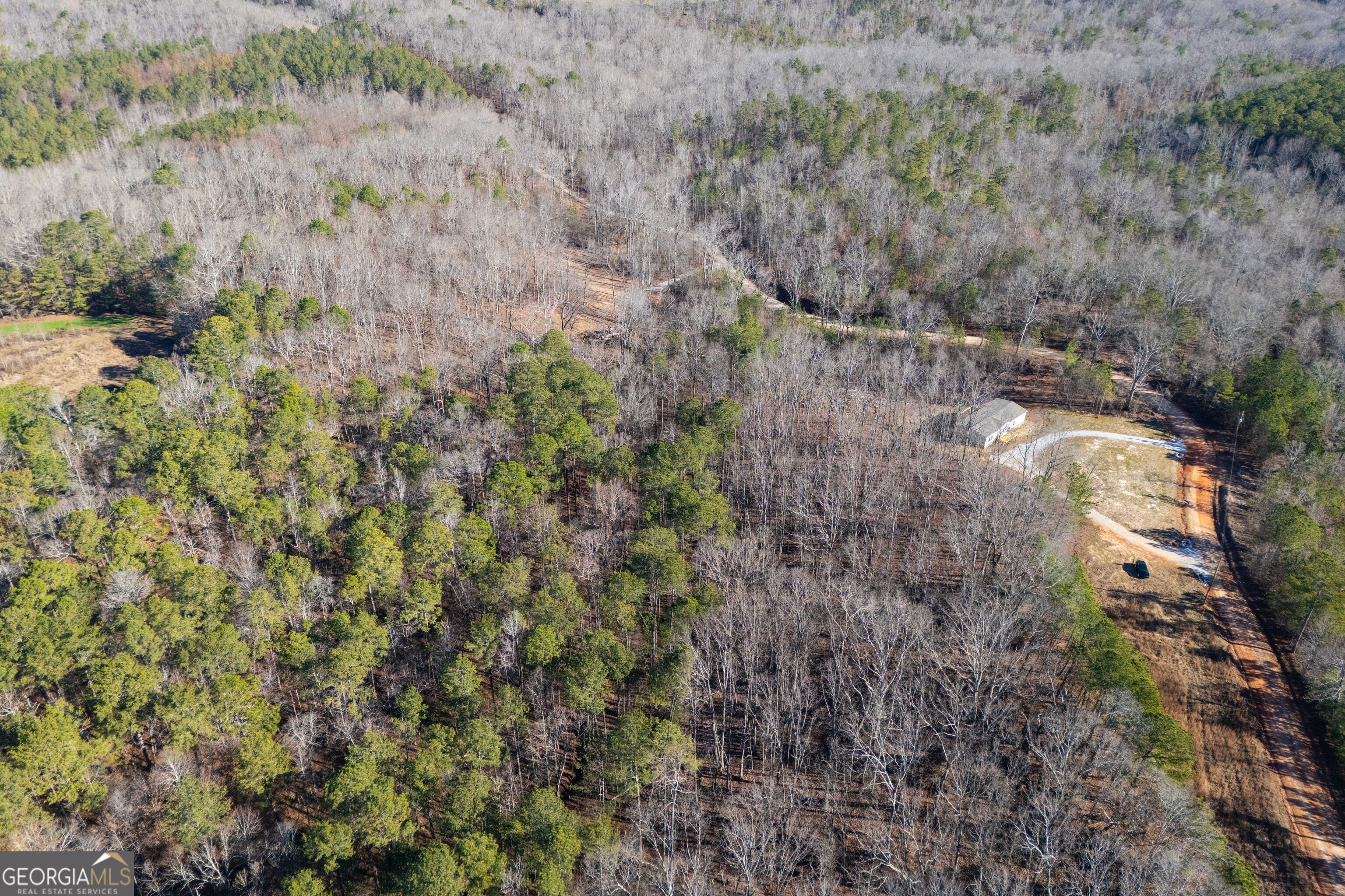 543 Hall Road Franklin, GA 30217 - Photo 6 of 50 a view of a dry yard with lots of bushes