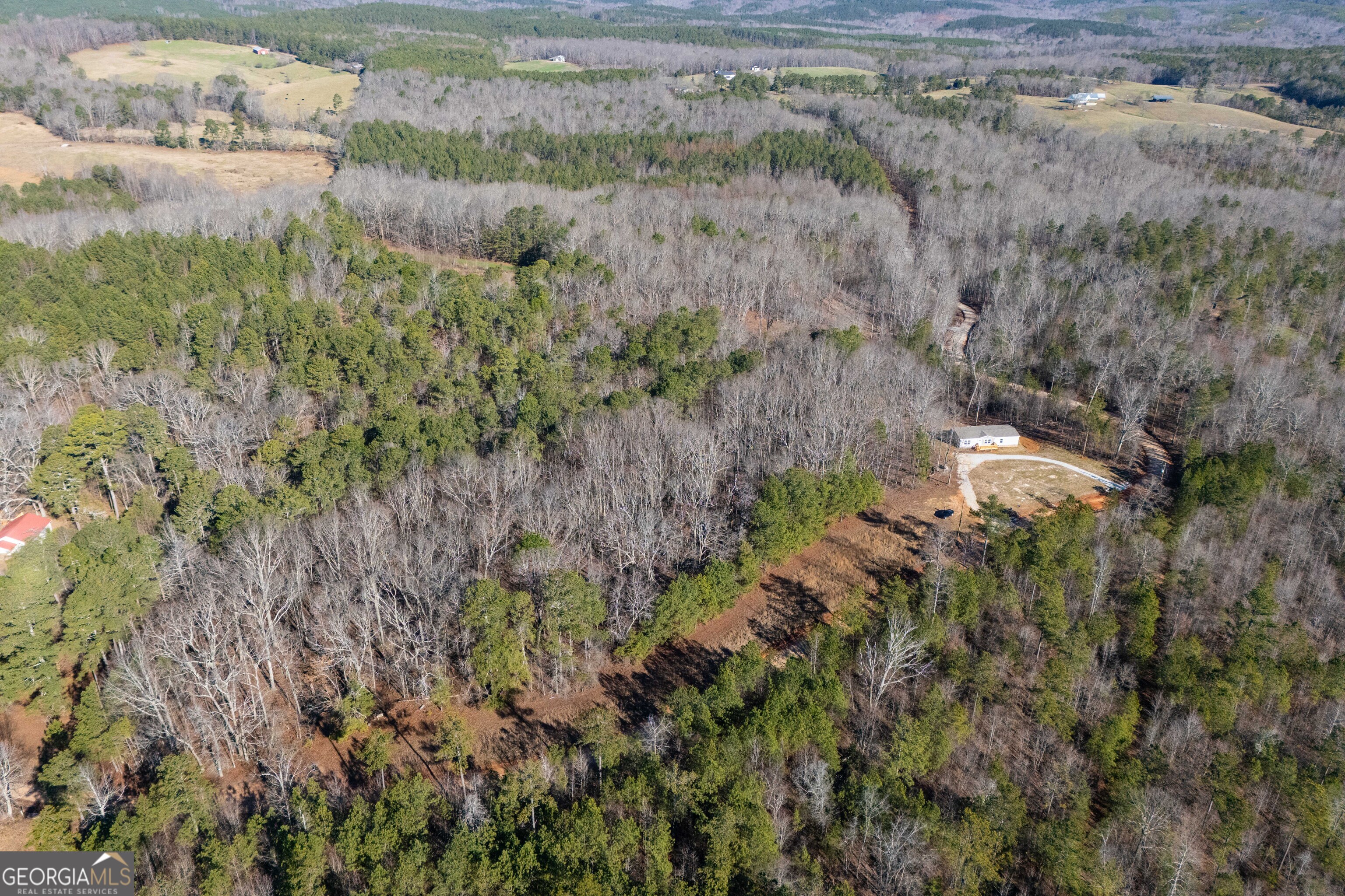 543 Hall Road Franklin, GA 30217 - Photo 8 of 50 a view of a lake with a yard