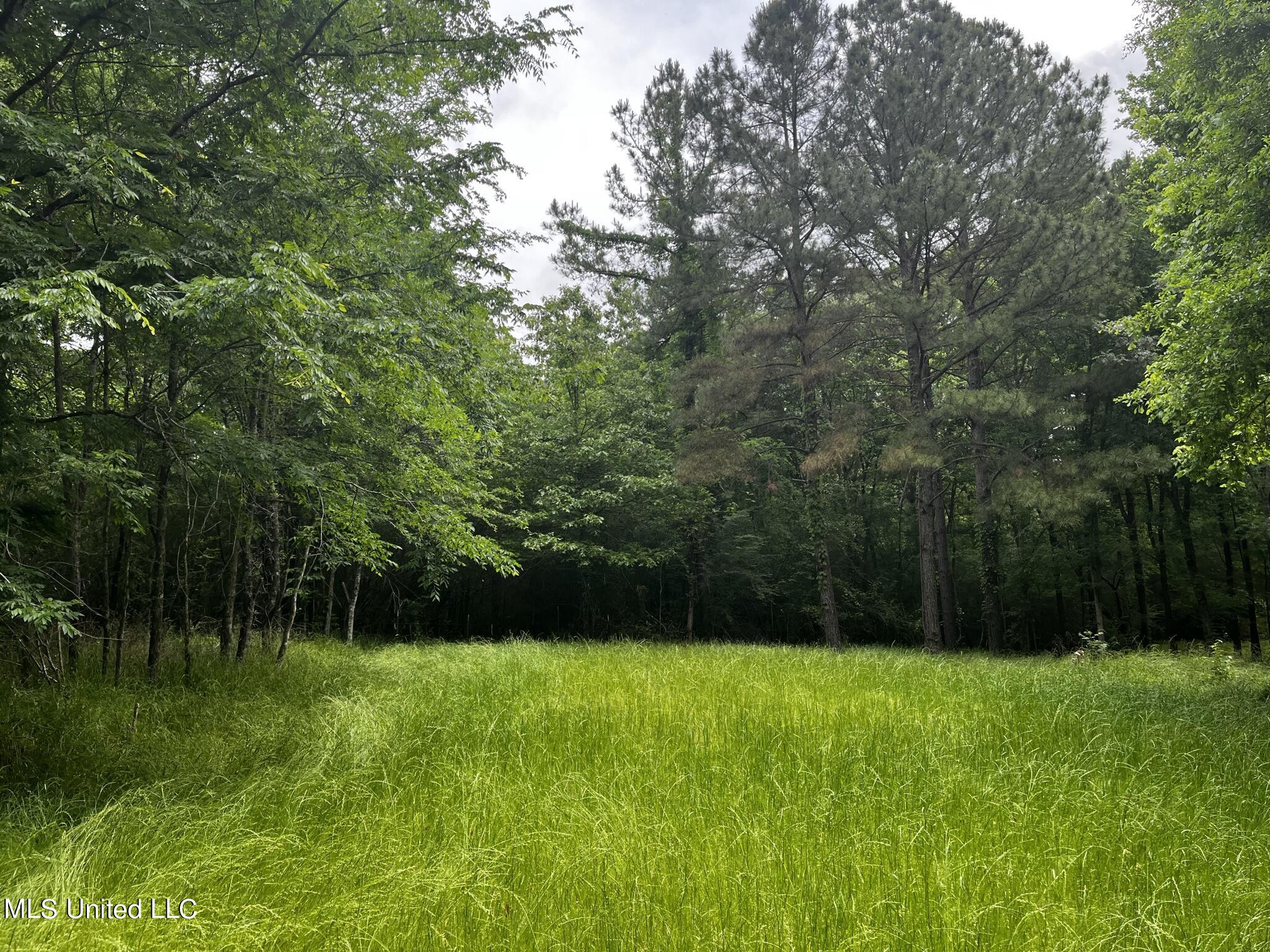 3153 New Zion Road Utica, MS 39175 - Photo 14 of 50 IMG_2161