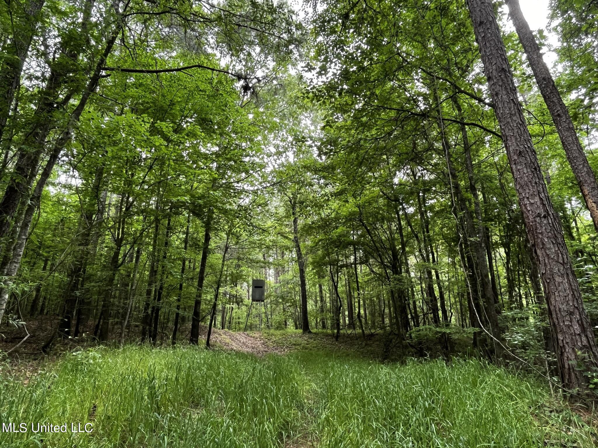 3153 New Zion Road Utica, MS 39175 - Photo 23 of 50 IMG_2170
