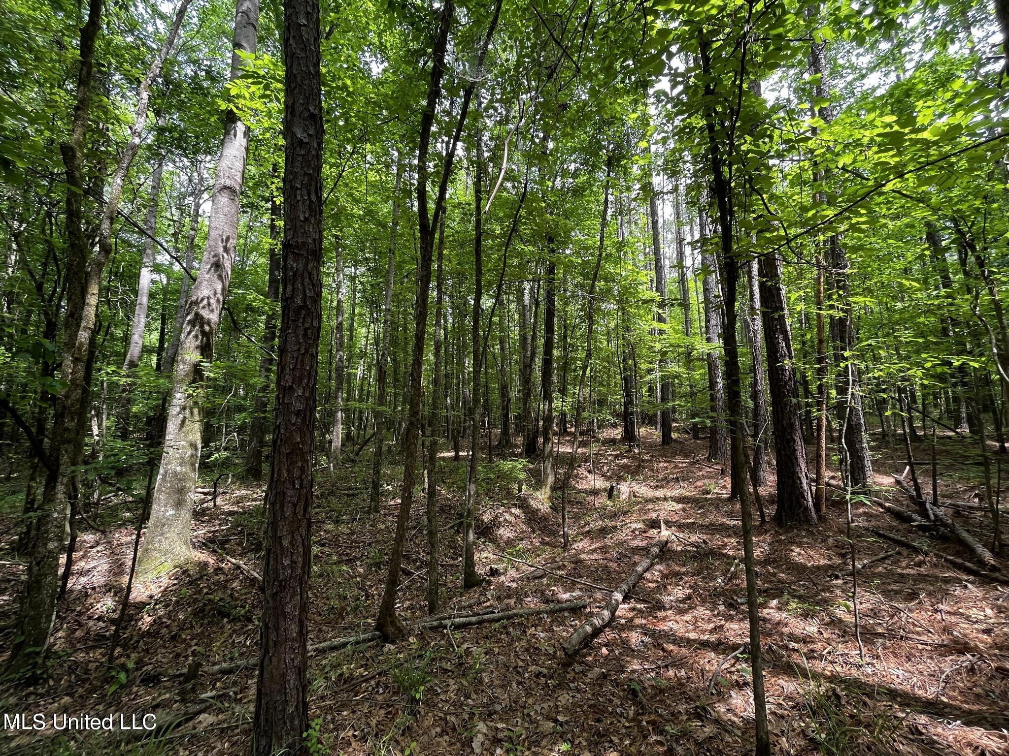 3153 New Zion Road Utica, MS 39175 - Photo 25 of 50 IMG_2172