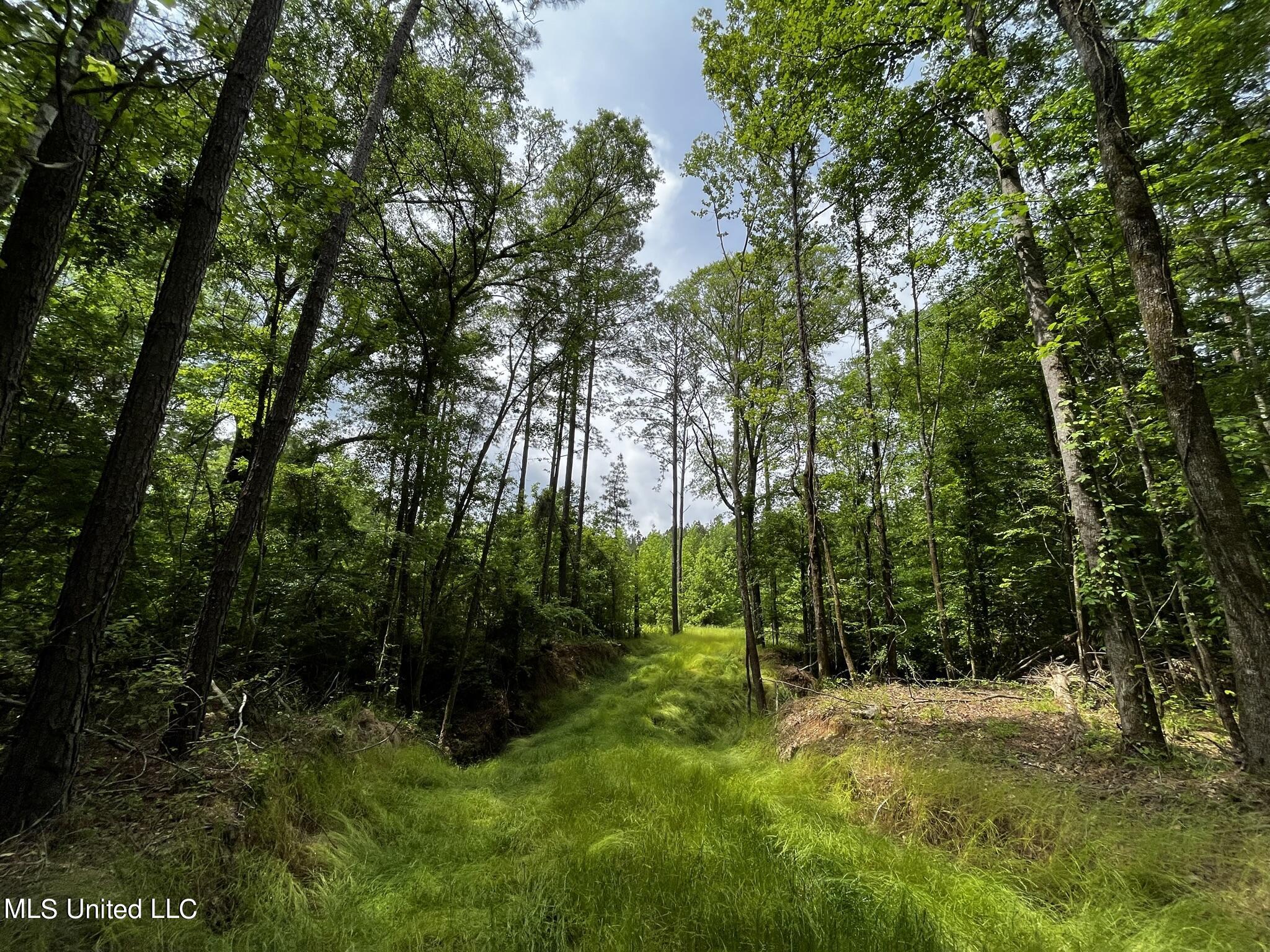 3153 New Zion Road Utica, MS 39175 - Photo 29 of 50 IMG_2176
