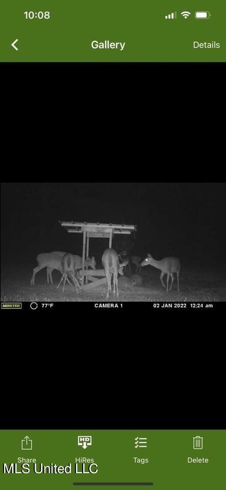 3153 New Zion Road Utica, MS 39175 - Photo 50 of 50 Photo May 03, 2 02 54 PM