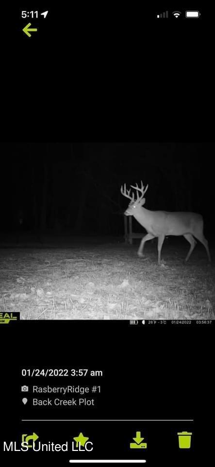 3153 New Zion Road Utica, MS 39175 - Photo 10 of 50 Photo May 03, 2 02 35 PM