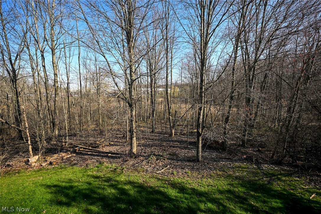865 Holborn Road Streetsboro, OH 44241 - Photo 29 of 32