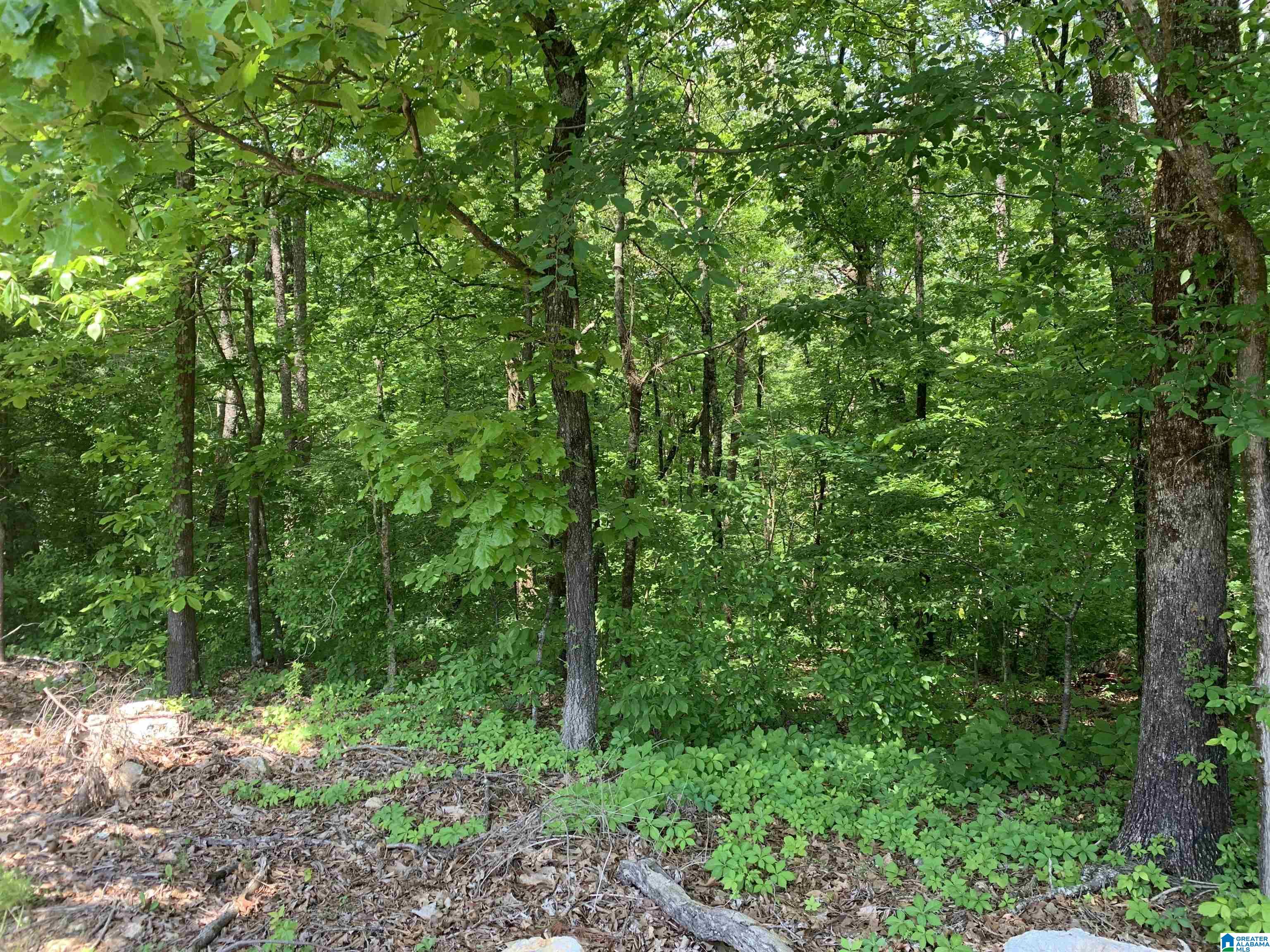 6246 Red Hollow Road, Unit 9 ACRES Birmingham, AL 35215 - Photo 3 of 4