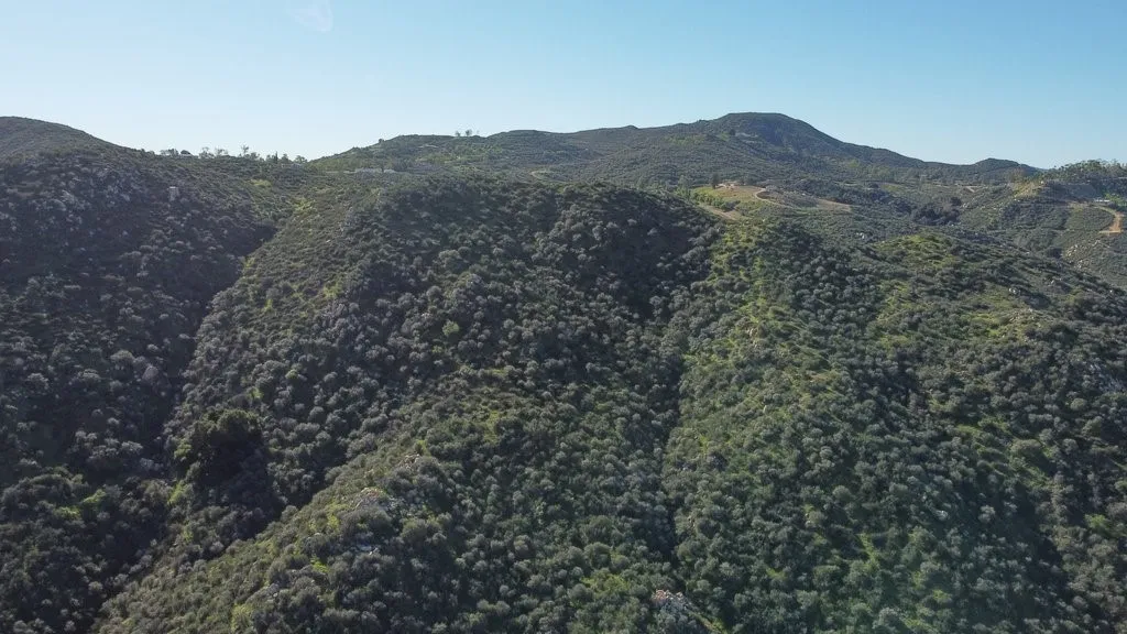 7 Turtle Creek Rd Lake Lake Elsinore, CA 92530 - Photo 7 of 23