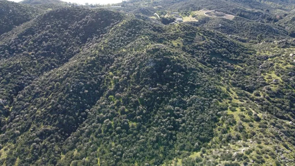 7 Turtle Creek Rd Lake Lake Elsinore, CA 92530 - Photo 8 of 23