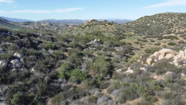 an aerial view of houses covered in trees