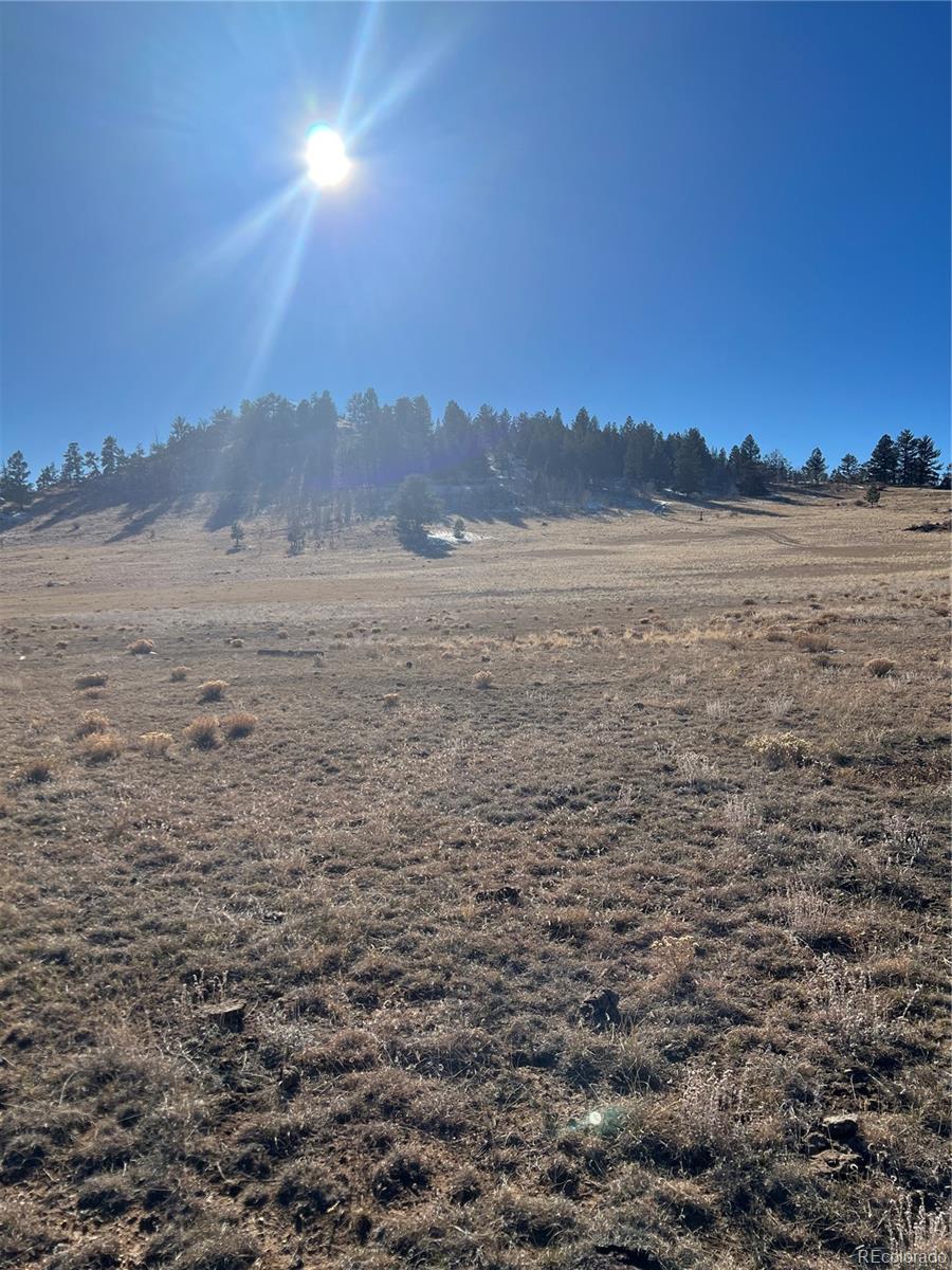1642 Garfield Road Hartsel, CO 80449 - Photo 1 of 6 Gallery Image 1