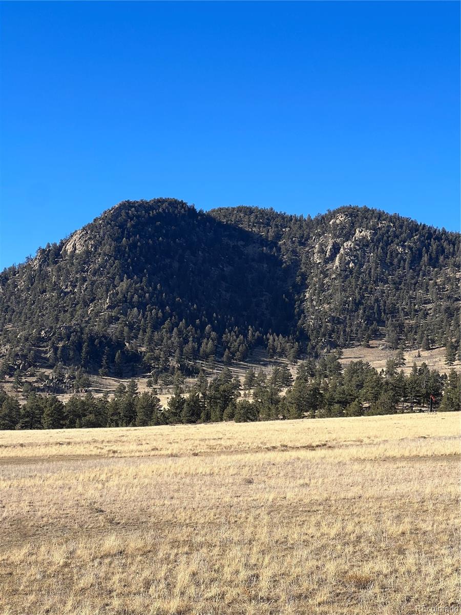 1642 Garfield Road Hartsel, CO 80449 - Photo 3 of 6 Gallery Image 3