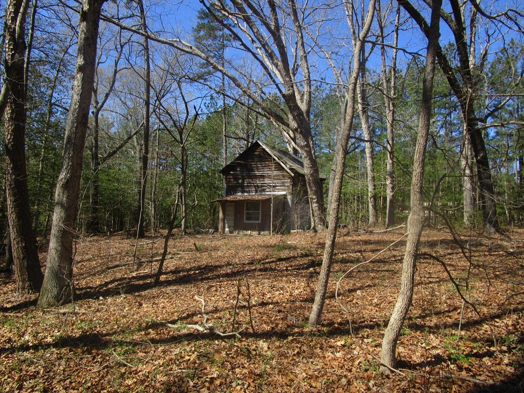 619 Shining Creek Road Alberta, VA 23821 - Photo 4 of 14 Gallery Image 4