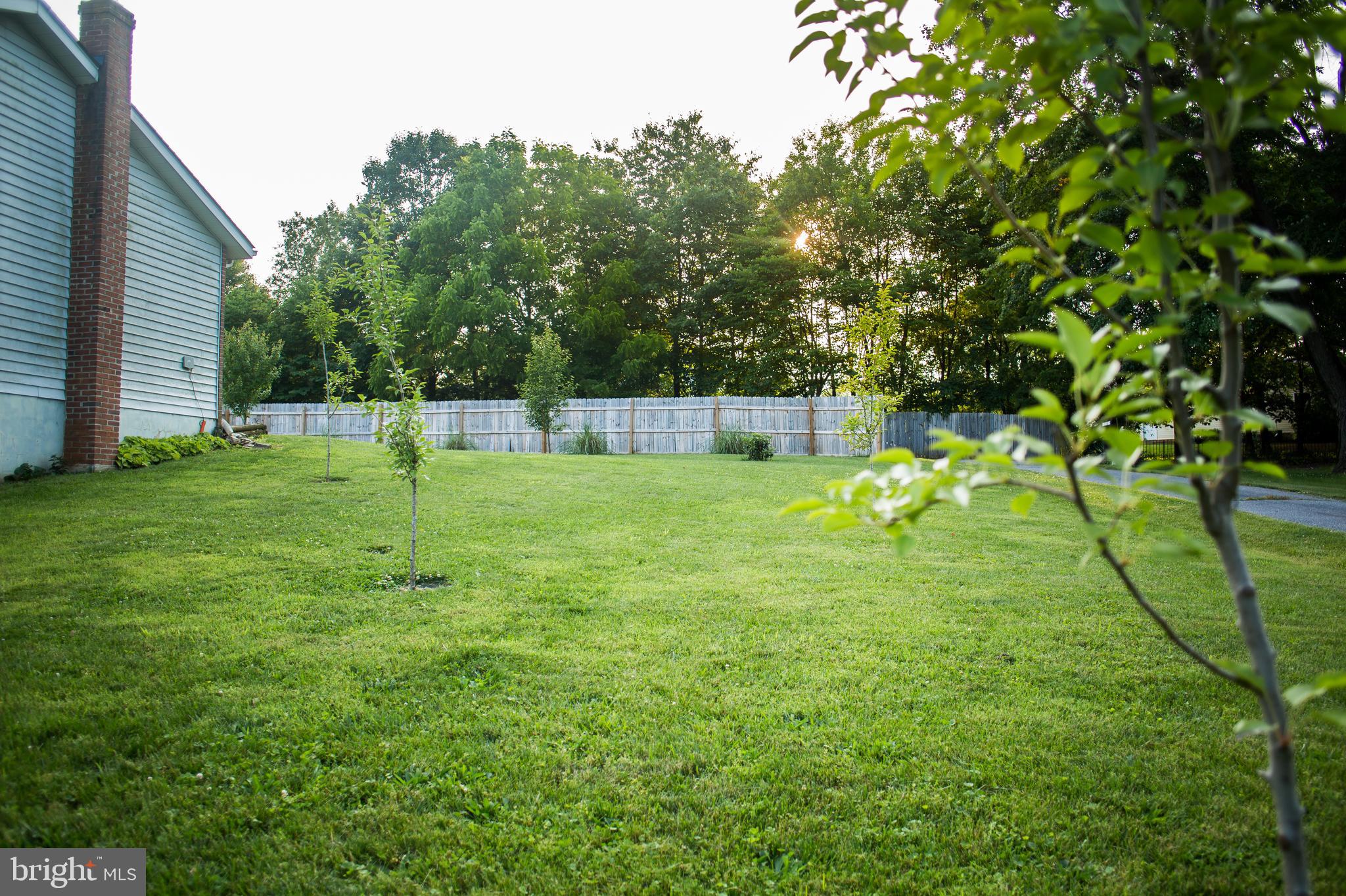 450 Uniontown Road Westminster, MD 21158 - Photo 31 of 35 Pear Trees In the side Yard