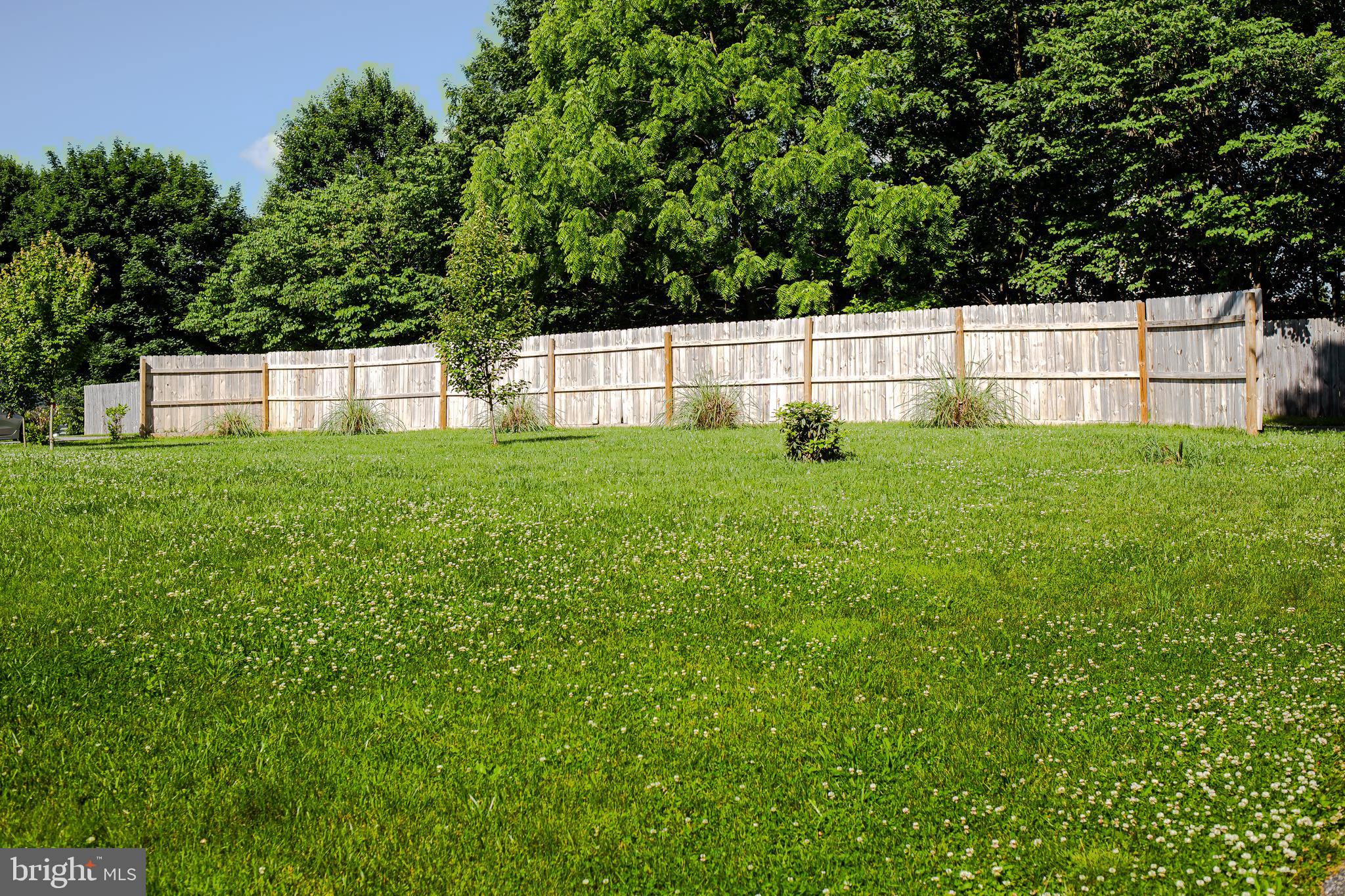 450 Uniontown Road Westminster, MD 21158 - Photo 9 of 35 Large Front Yard with Landscaped Privacy Fence