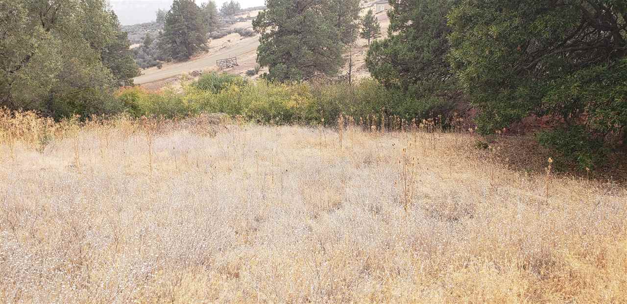 Lot 330 Desavado Road Montague, CA 96064 - Photo 9 of 15 Gallery Image 9